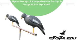 Pigeon Decoy