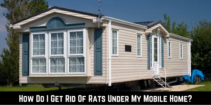 How Do I Get Rid Of Rats Under My Mobile Home