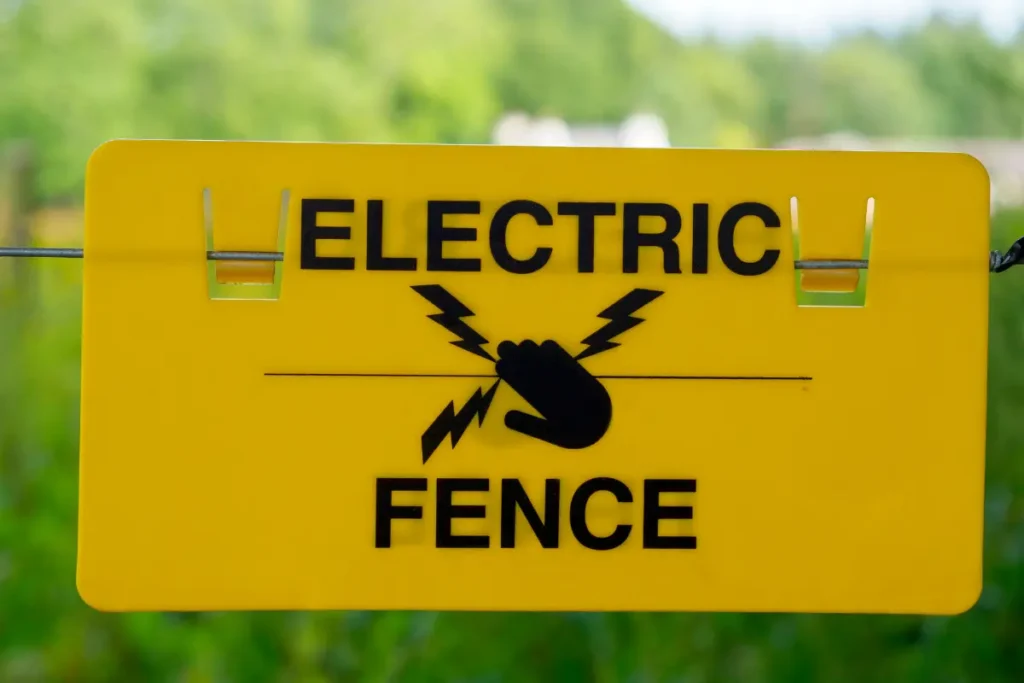 Electrical Fence