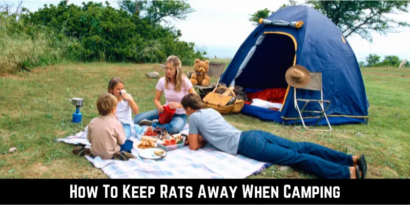 How To Keep Rats Away When Camping