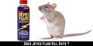 Does Jeyes Fluid Kill Rats