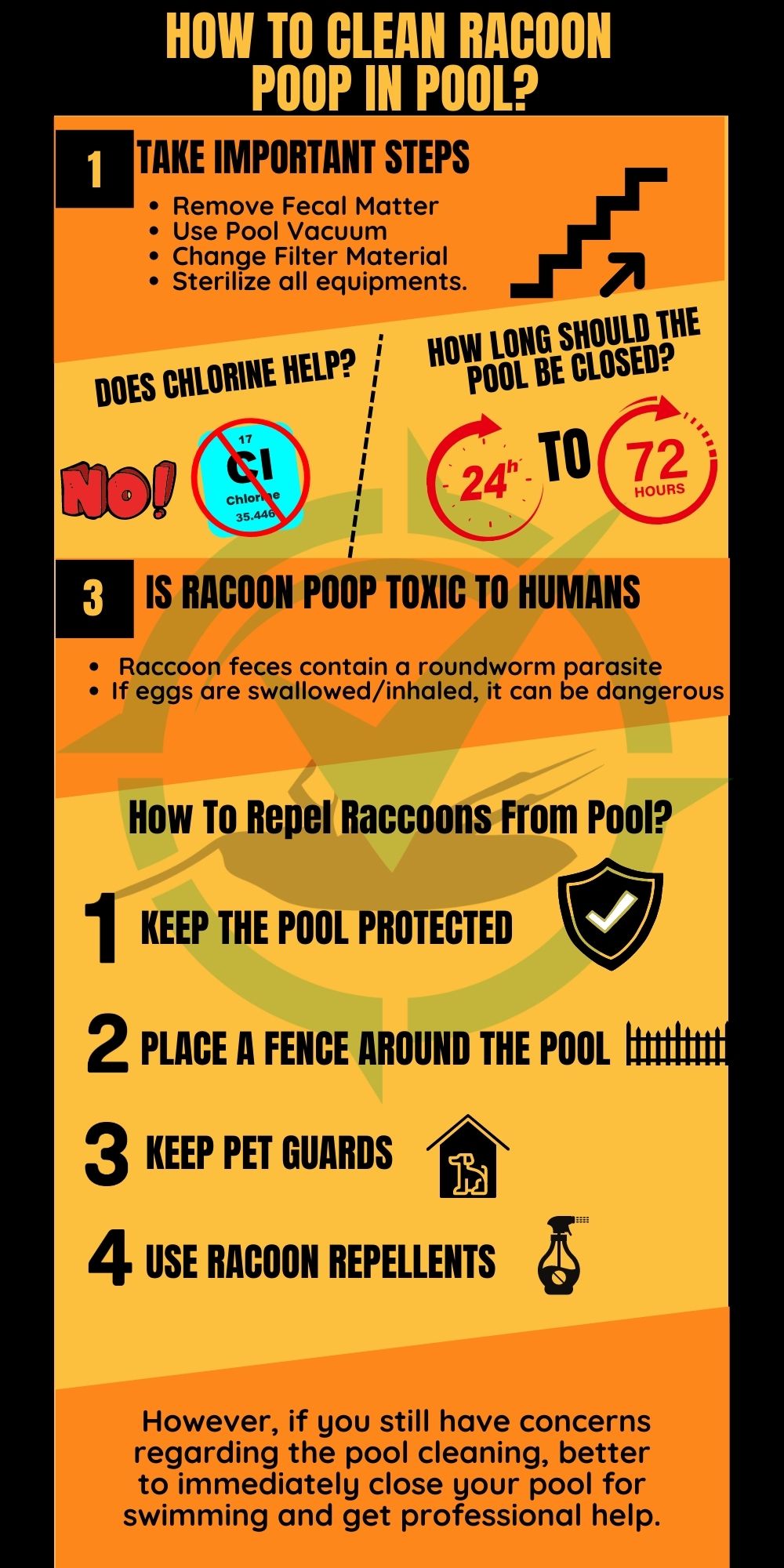 How To Clean Raccoon Poop In Pool