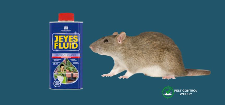 does jeyes fluid kill rats