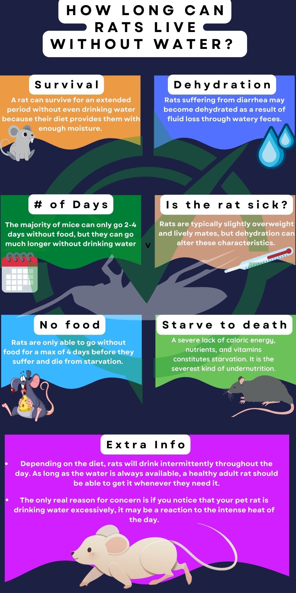 How Long Can Rats Live Without Water
