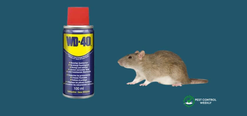 does wd-40 kill rats