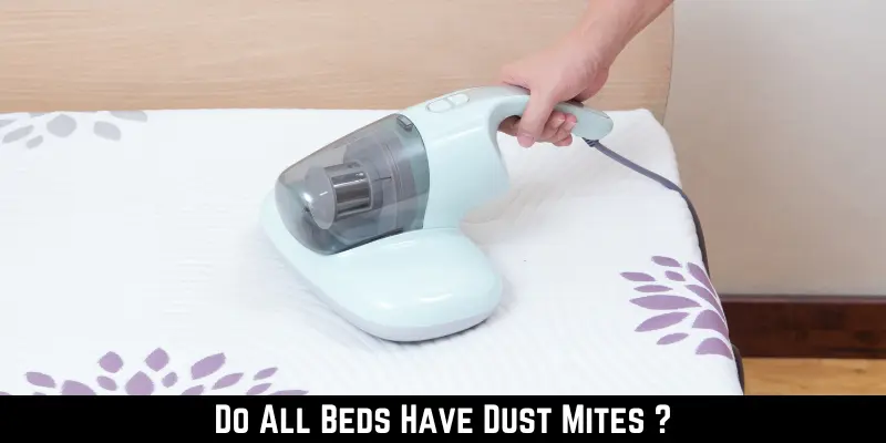 Do All Beds Have Dust Mites