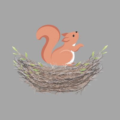 Do Squirrels Build Nests In Windows