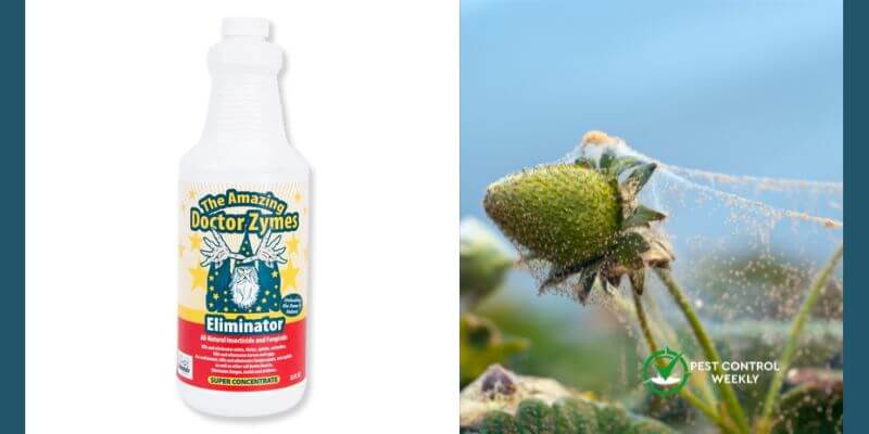 Does Dr. Zymes Kill Spider Mites