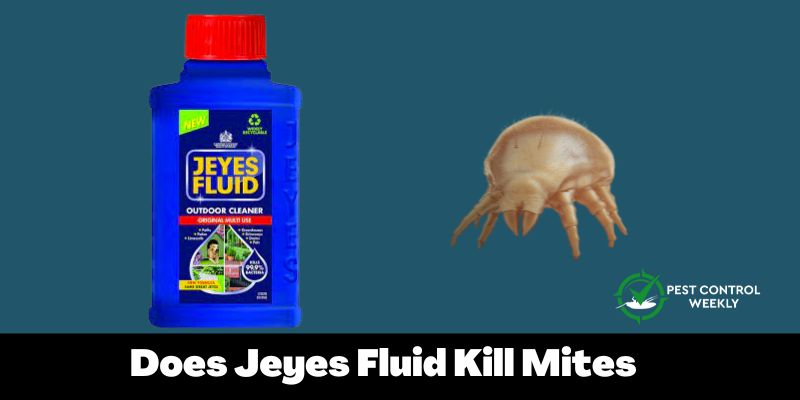 Does Jeyes Fluid Kill Mites