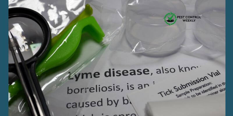 do bird mites carry lyme disease