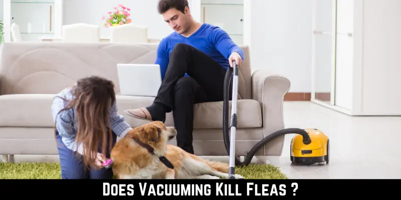 Does Vacuuming Kill Fleas