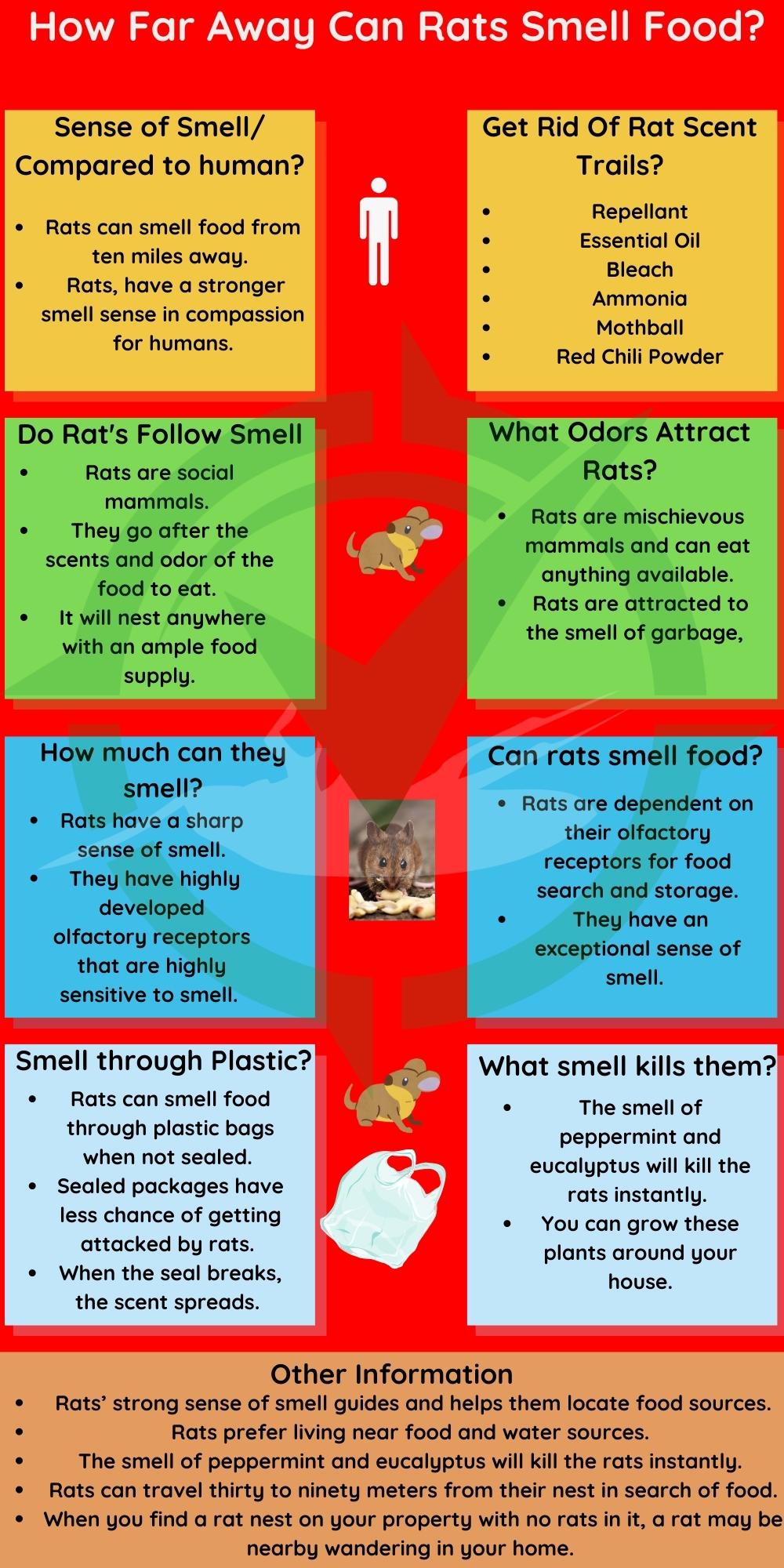 How Far Away Can Rats Smell Food