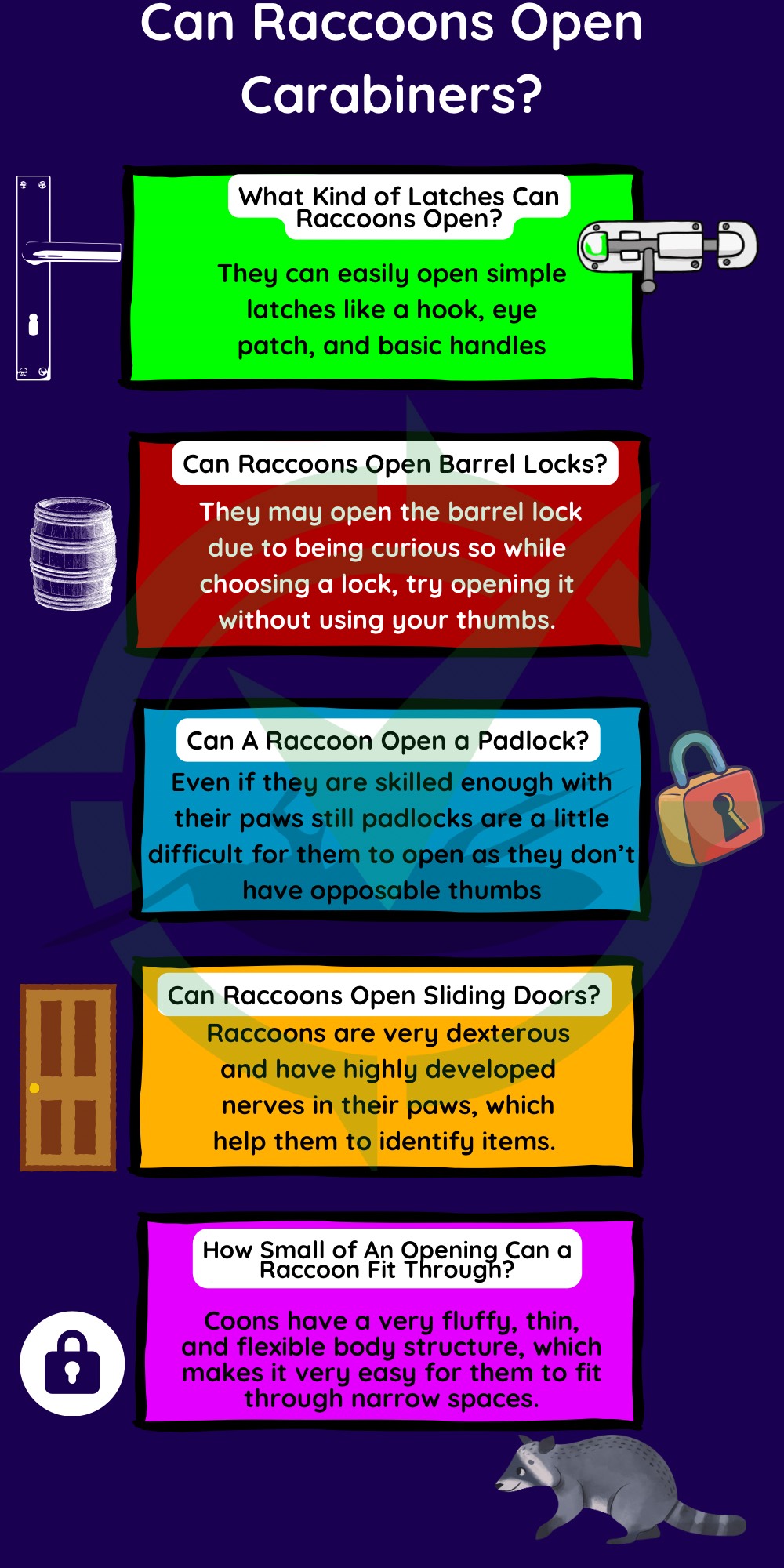How Raccoons Open Carabiners
