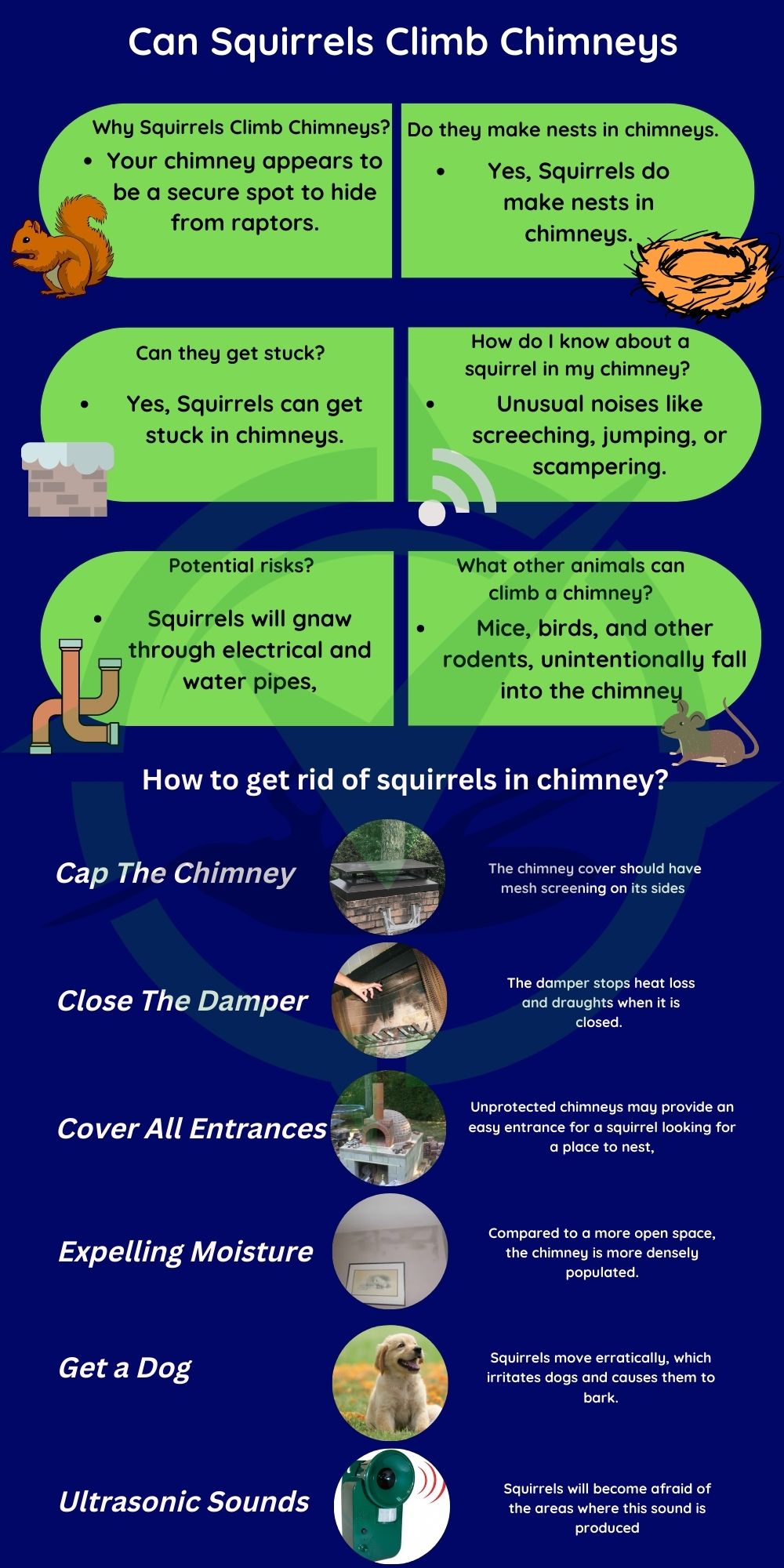 How to Stop Squirrels Climbing Up chimney