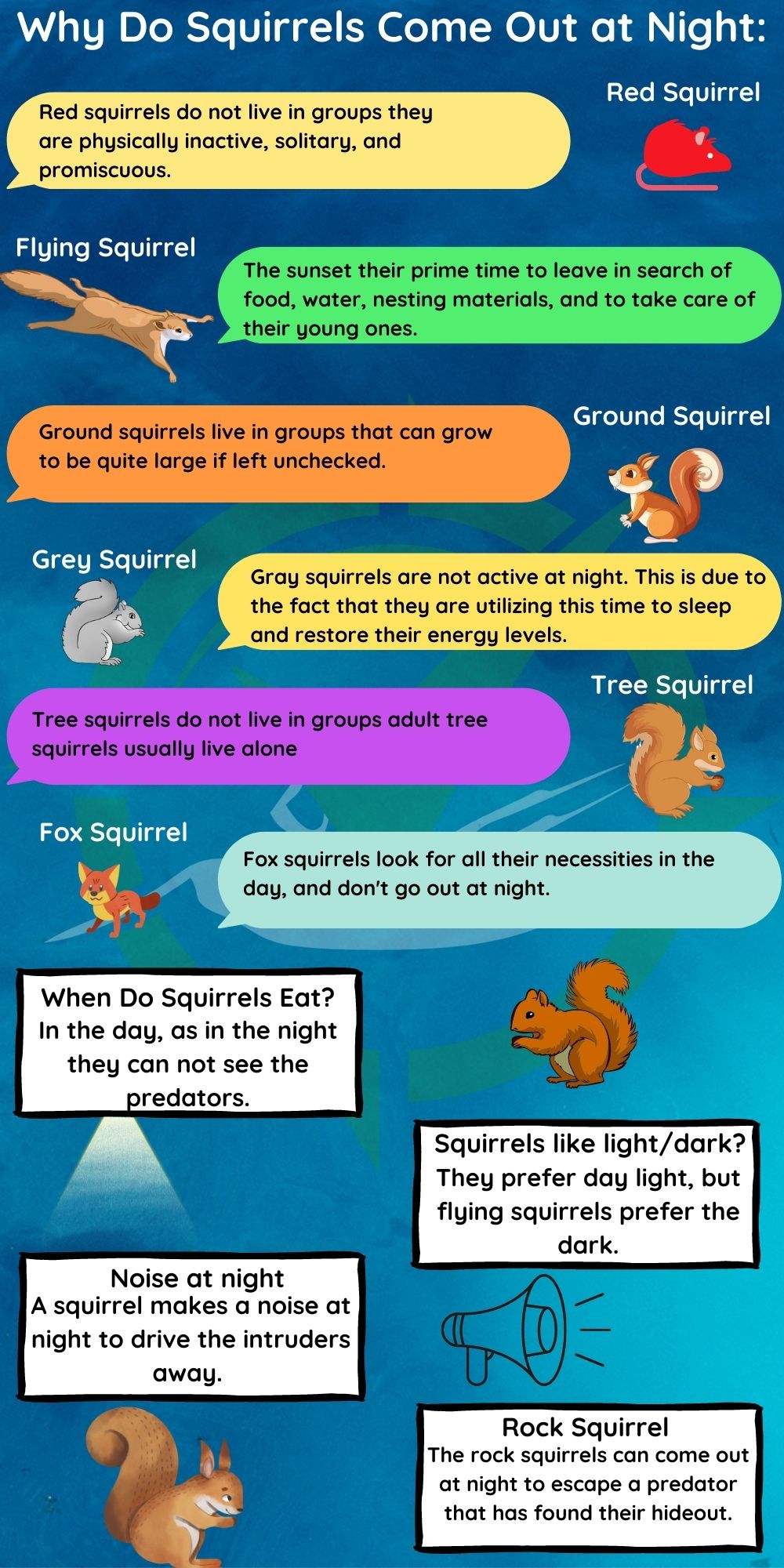 Why Do Squirrels Go Out At Night