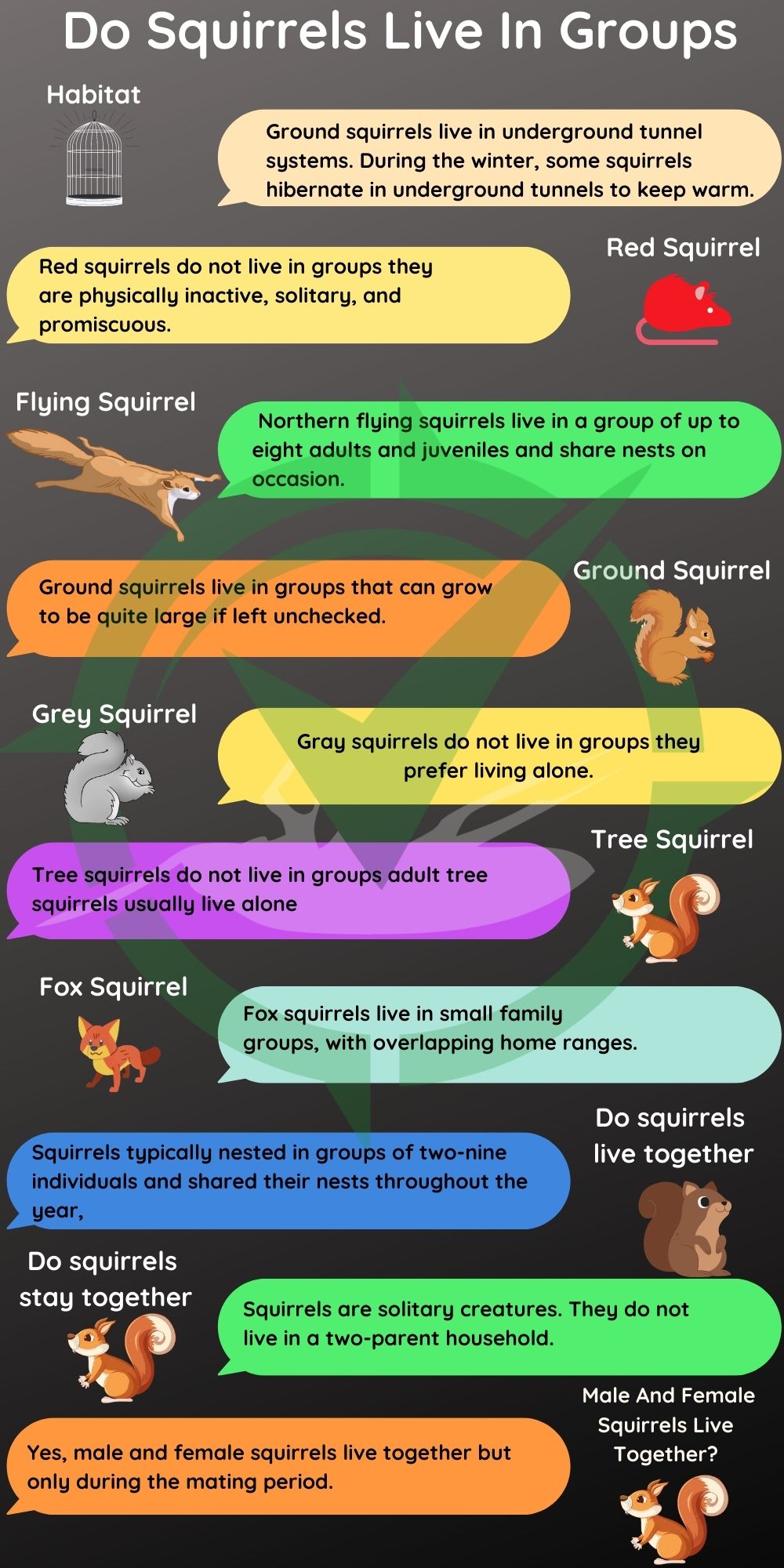 Squirrels Habitat Chart