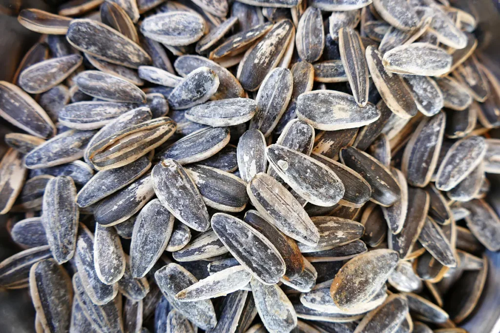 Sunflower Seed With Shells