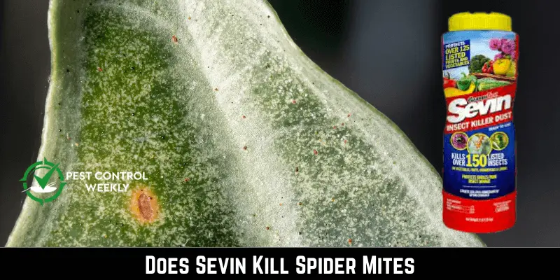 Does Sevin Kill Spider Mites