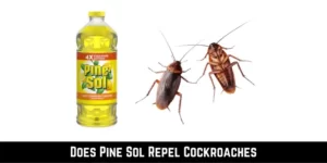does pine repel cockroaches