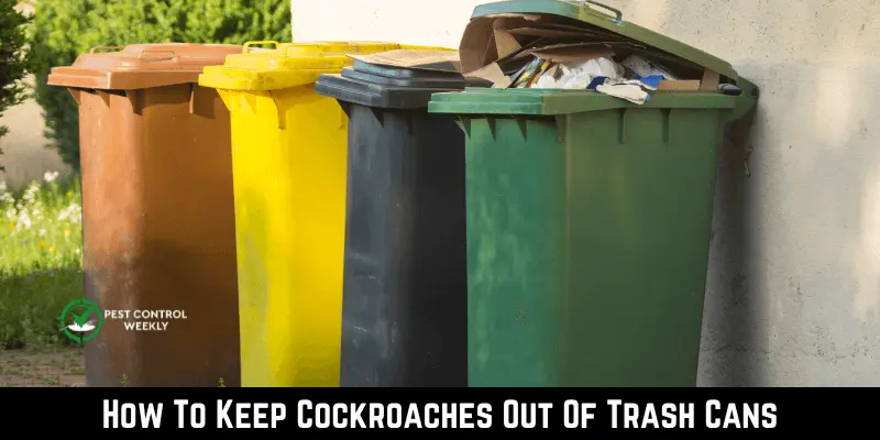 How To Keep Cockroaches Out Of Trash Cans