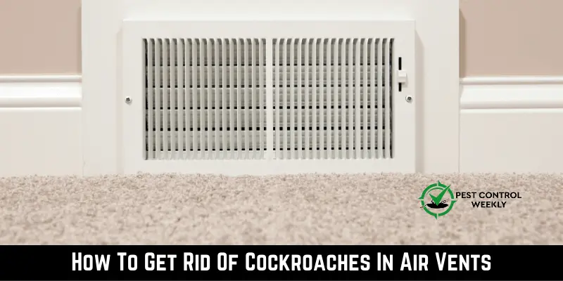 How To Get Rid Of Cockroaches In Air Vents