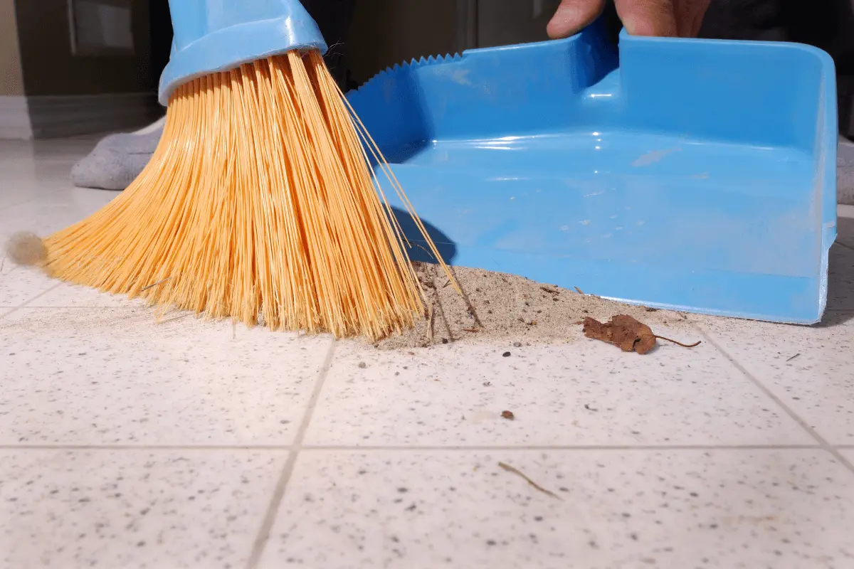 Sweep Your House Regularly