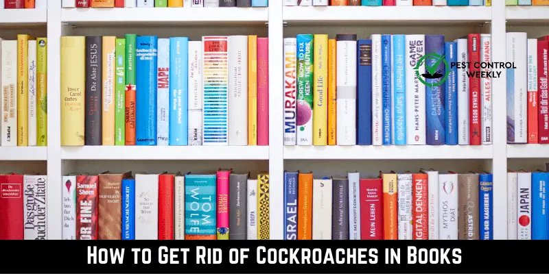 Get Rid of Cockroaches in Books