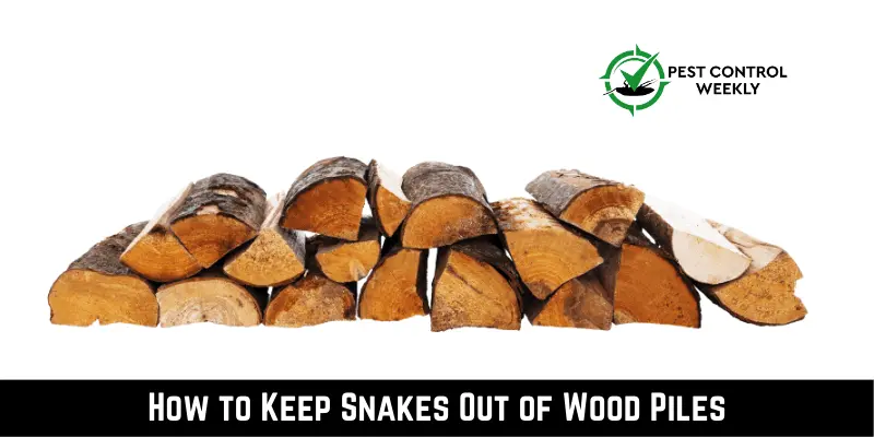 How to Keep Snakes Out of Wood Piles