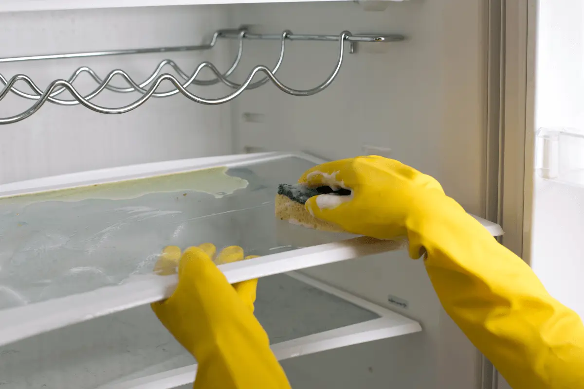 Properly Clean Your Deep Freezer