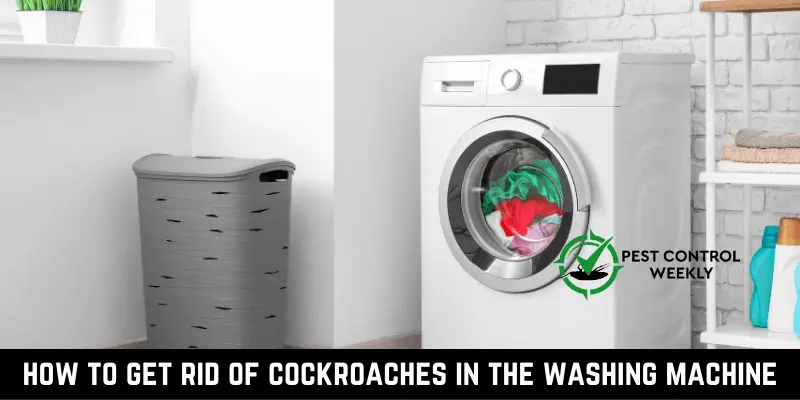 how to get rid of cockroaches in the washing machine