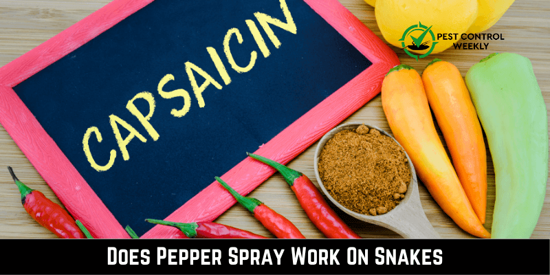 Does-Pepper-Spray-Work-On-Snakes