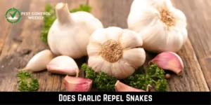 Does Garlic Repel Snakes