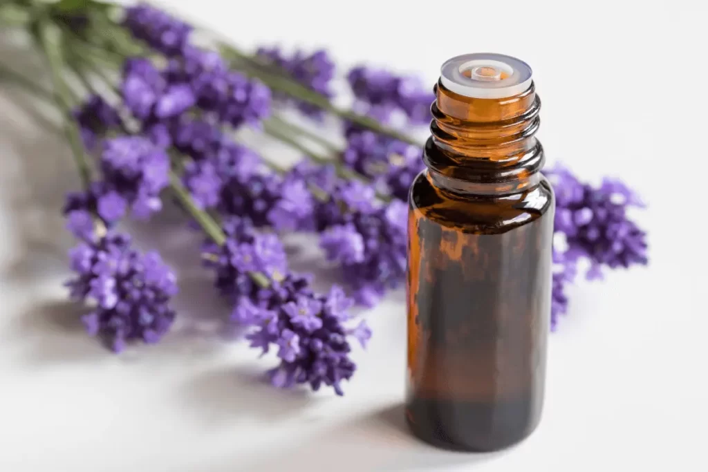 Lavender-Oil