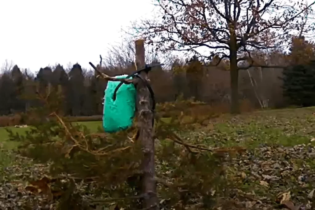 To-Hang-The-Soap-On-The-Trees