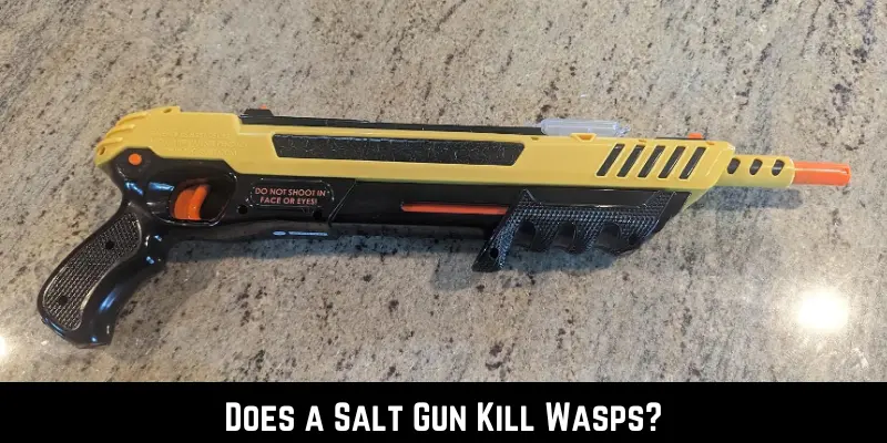 Does a Salt Gun Kill Wasps
