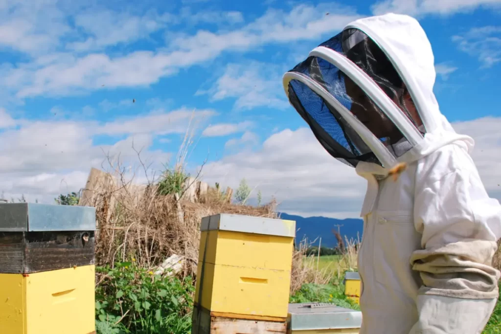When Wearing Bee Suits, Can Wasps Sting