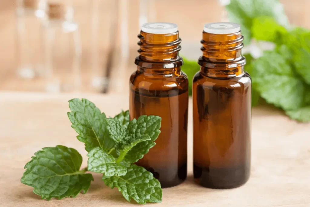Ammonia-and-Peppermint-Oil