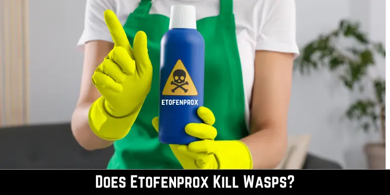 Does Etofenprox Kill Wasps