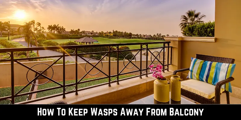 How To Keep Wasps Away From Balcony