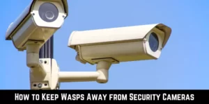 How to Keep Wasps Away from Security Cameras