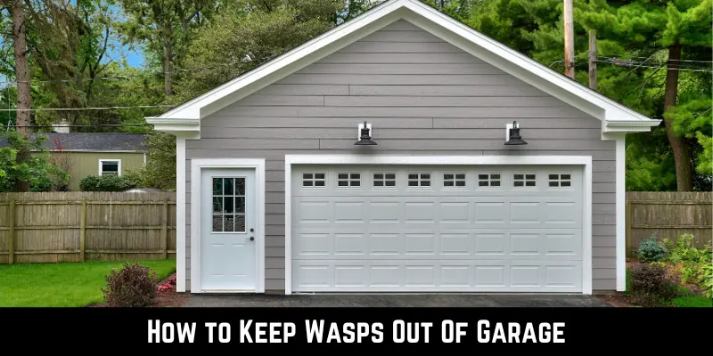 How to Keep Wasps Out Of Garage